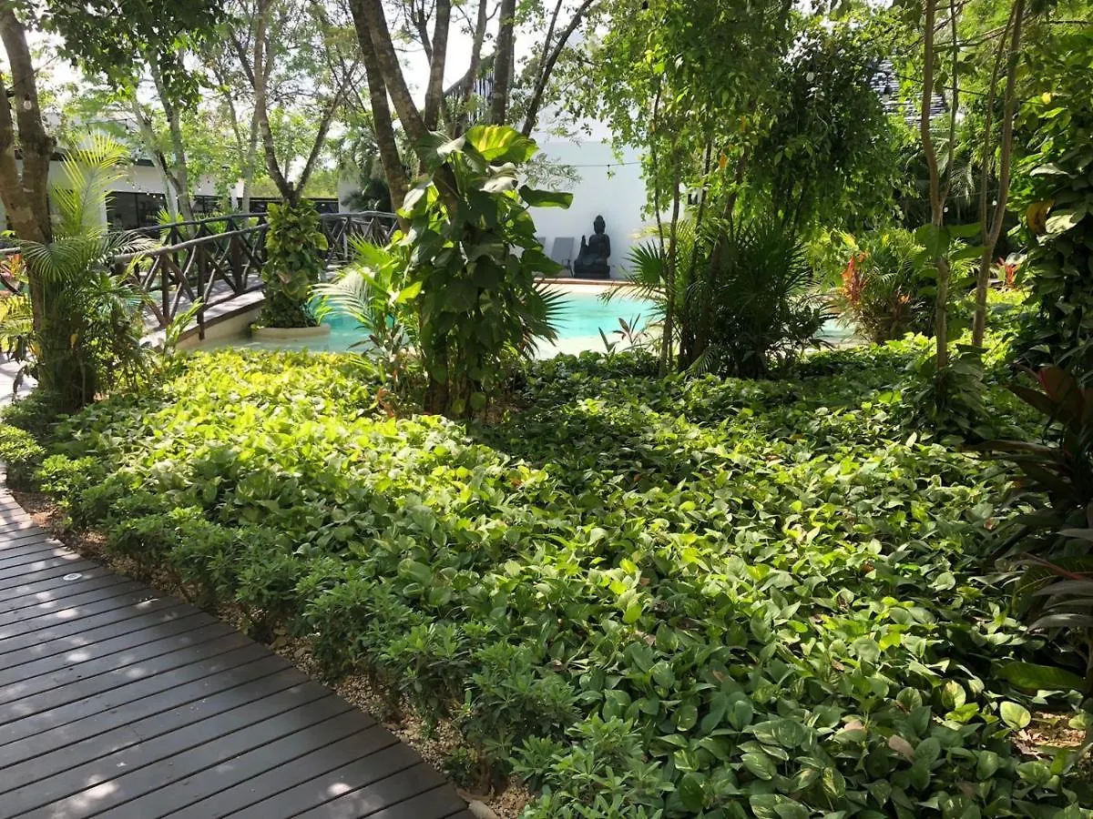 Beautiful Loft With Speed Wifi And Near From Beach Appartement Tulum Pueblo 0*,