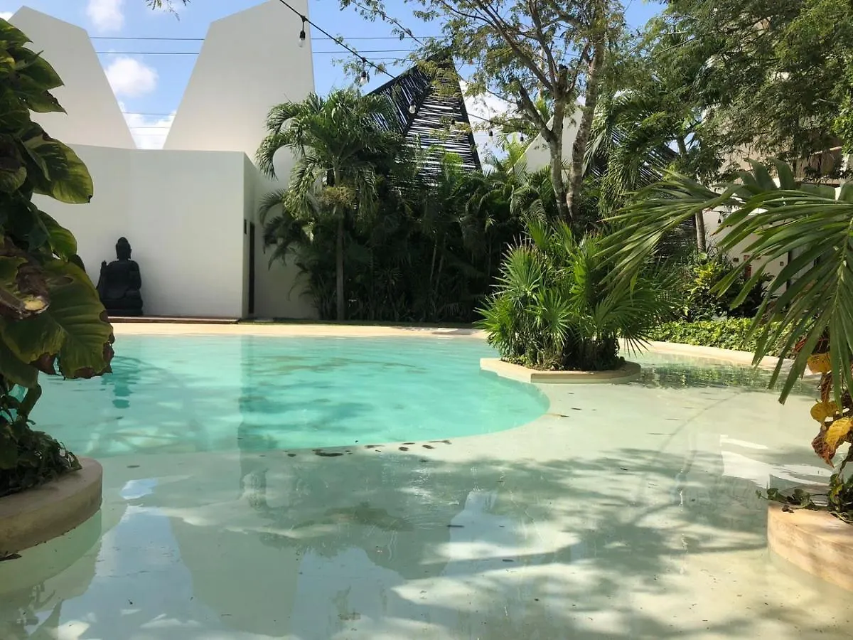 Beautiful Loft With Speed Wifi And Near From Beach Appartement Tulum Pueblo Mexico