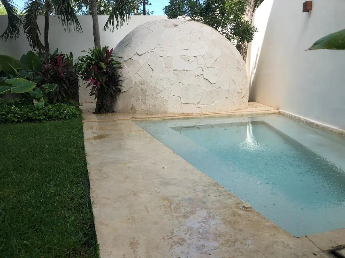 شقة Beautiful Loft With Speed Wifi And Near From Beach تولوم
