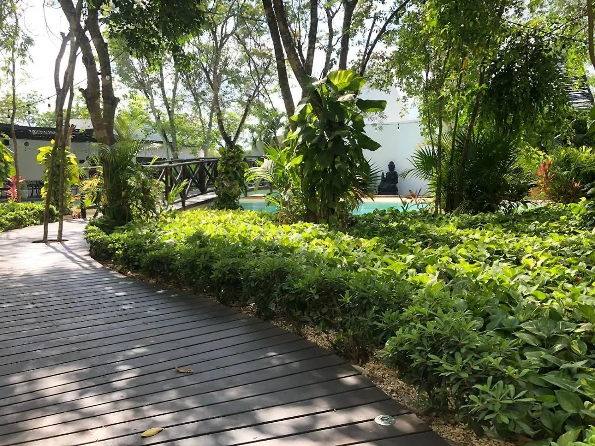 Beautiful Loft With Speed Wifi And Near From Beach Appartement Tulum Pueblo
